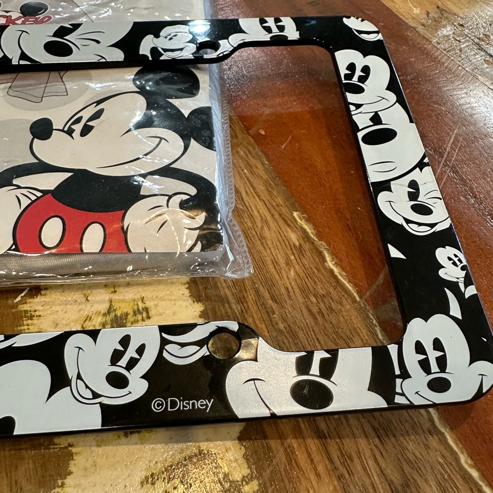 Disney Mickey Poncho & Plate holder